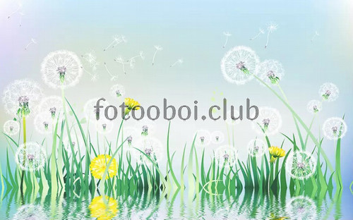 одуванчики, поле, дизайнерские